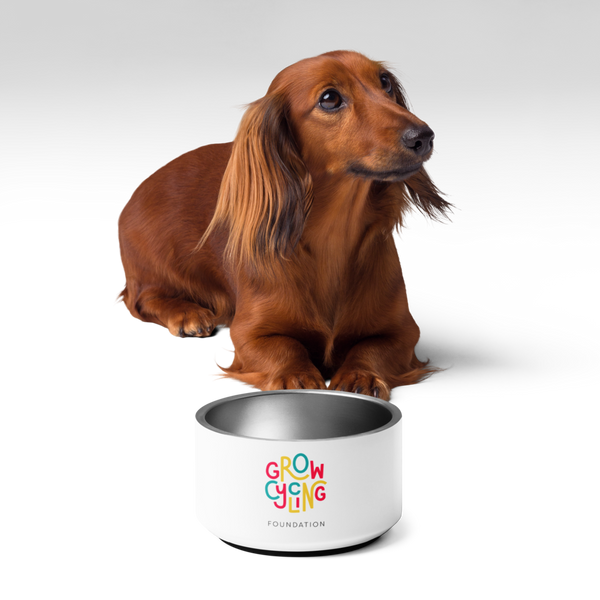 Pet bowl